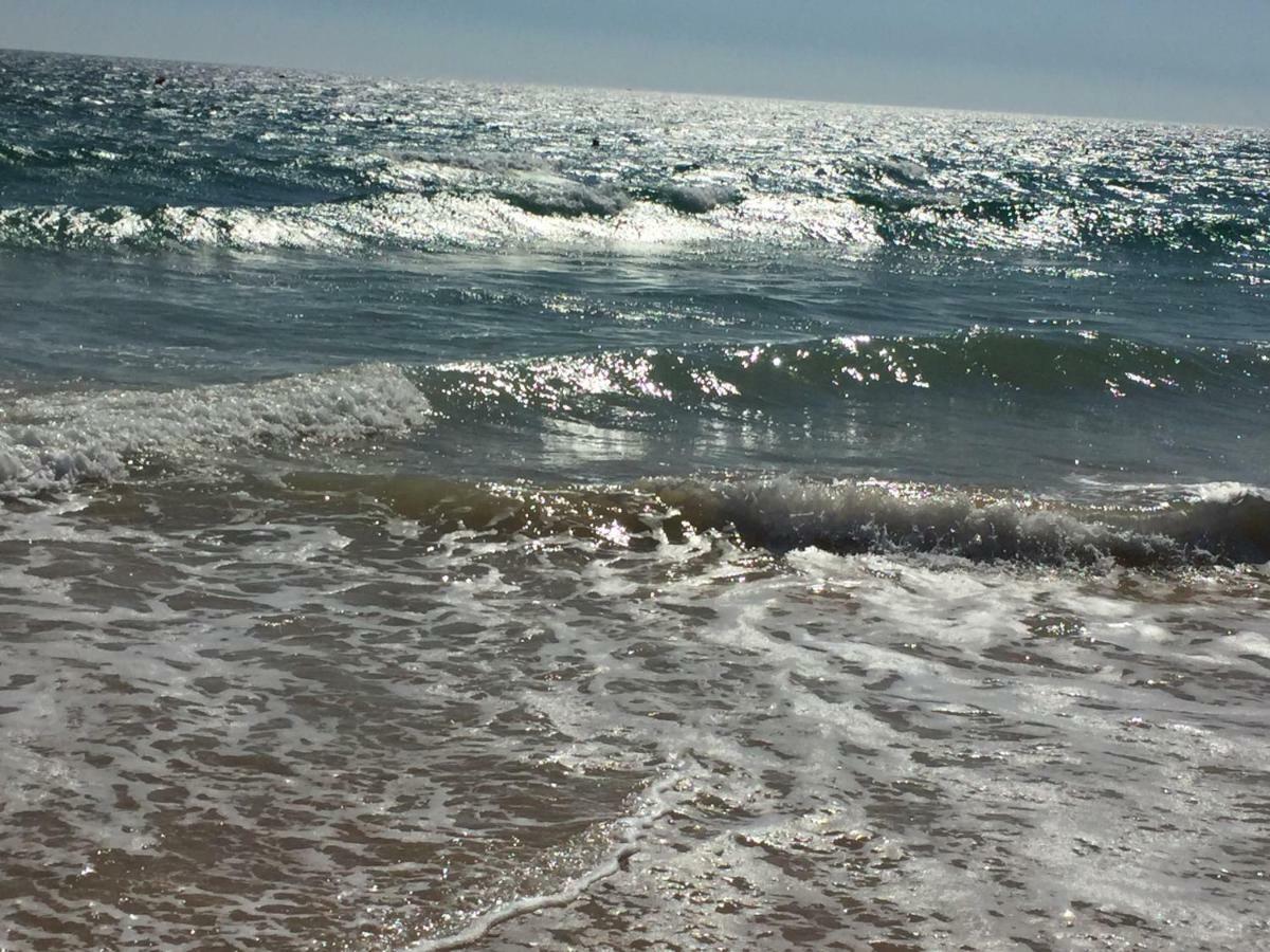 In Algarve,vilamoura *